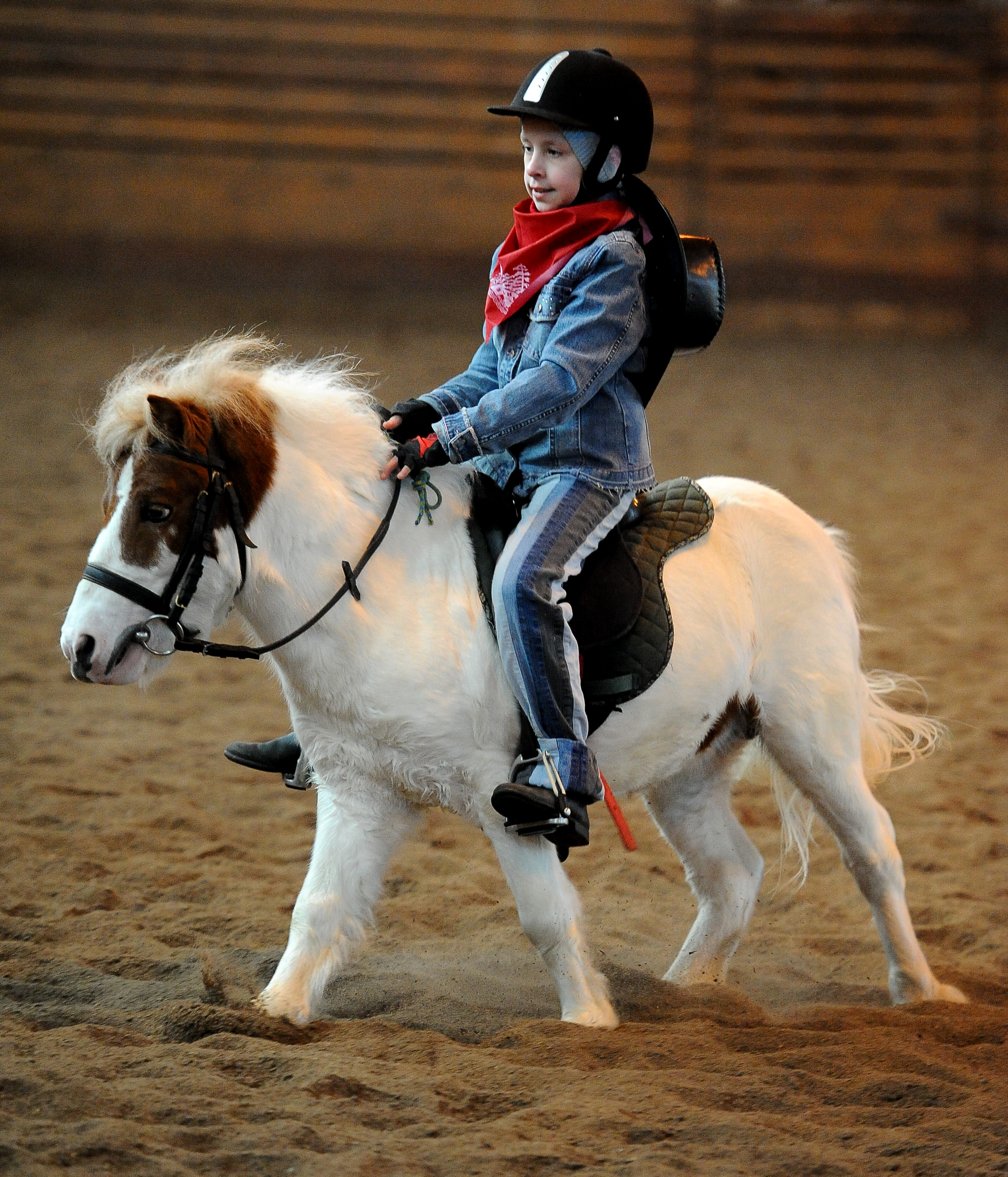 Easton harriers pony club